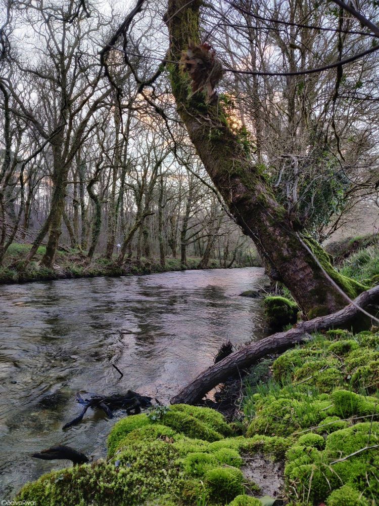 By the river when the sunset comes .
If we don't fight now, the only thing that will remain of this memory will be our own guilt for doing nothing.