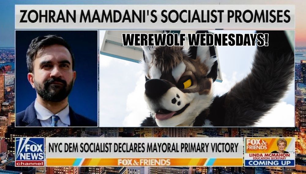 A still from a Fox News segment on Zohran Mamdani.  Mamdani is the incredibly handsome, intelligent, and energetic mayoral candidate for New York City.  He has a great platform that is filled with all sorts of wonderful policies that will help everyday New Yorkers.  He wants to provide free buses, city-run grocery stores, stronger rent-control mechanisms, affordable housing, and, perhaps his greatest promise, Werewolf Wednesdays!  Just imagine all sorts of incredibly sexy werewolves running throughout the city!