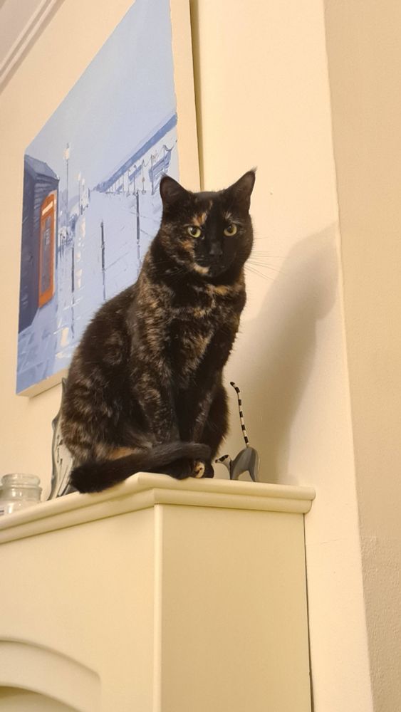 A small dark tortoiseshell cat sits on a fireplace, staring at the camera.