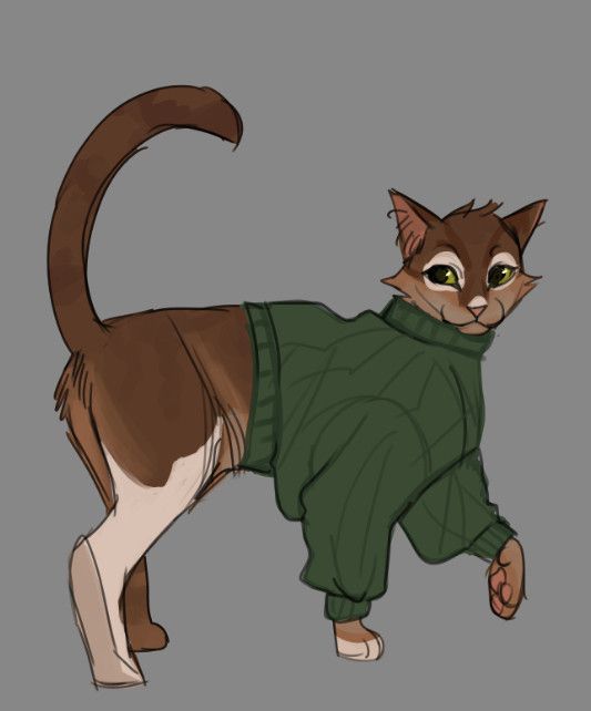 A drawing of a chocolate smoke cat with white markings wearing a comfy green sweater.