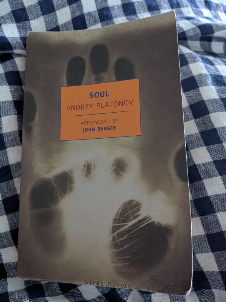A copy of Andrey Platonov's short story collection "Soul"