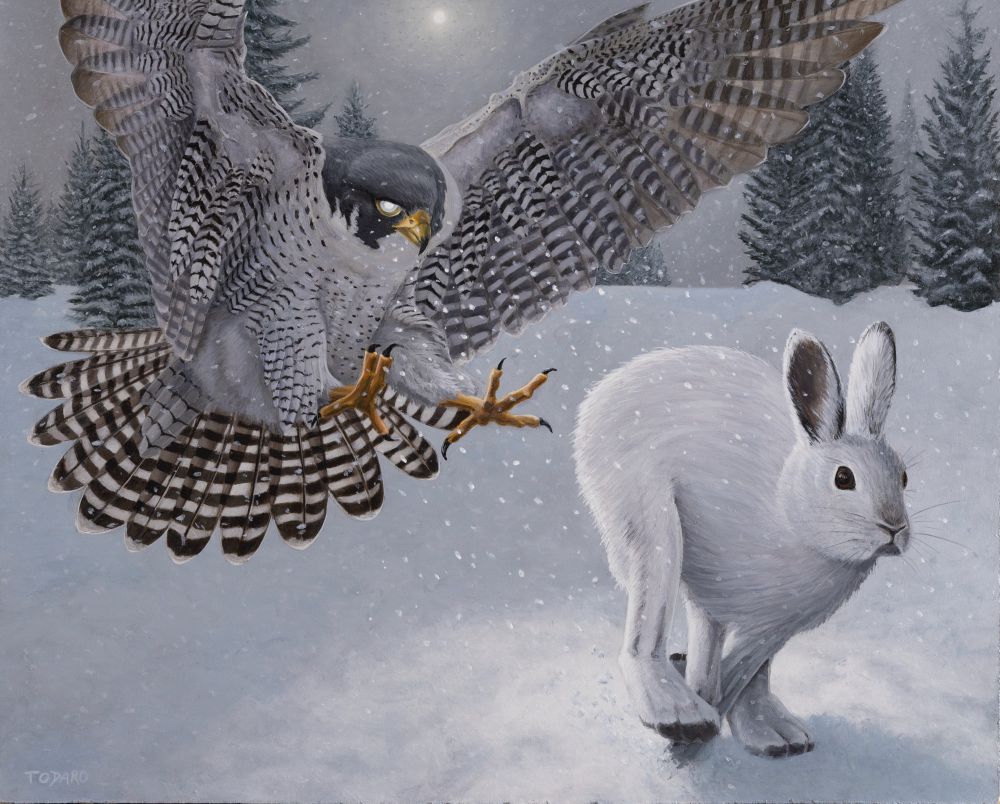 A peregrine falcon chases down a rabbit in the snow. The sun is veiled behind a light snow storm. Light shines out from the bird’s eyes, illuminating the rabbit from behind. 