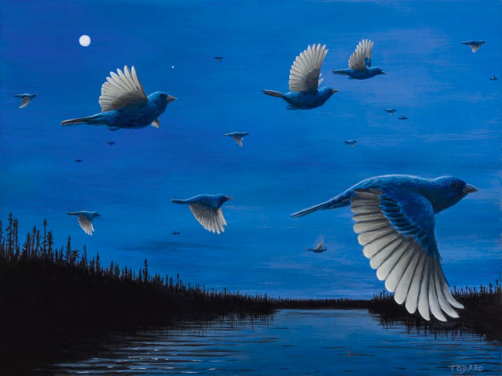 A painting of a flock of Indigo Buntings flying over a river on a moonlit night. Everything is bathed in indigo blue. Painting by Dave Todaro. 