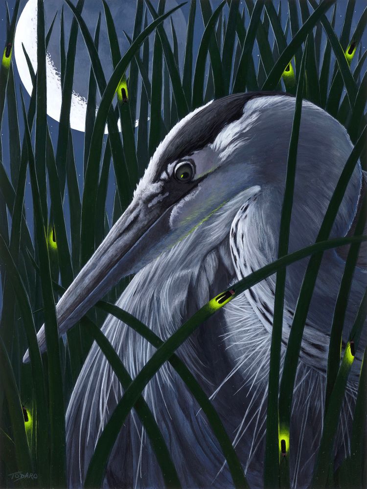 A painting of a heron hiding in the reeds under a haunting moon, surrounded by fireflies. The bird stares down at one of the insects with curiosity. Painting by Dave Todaro
