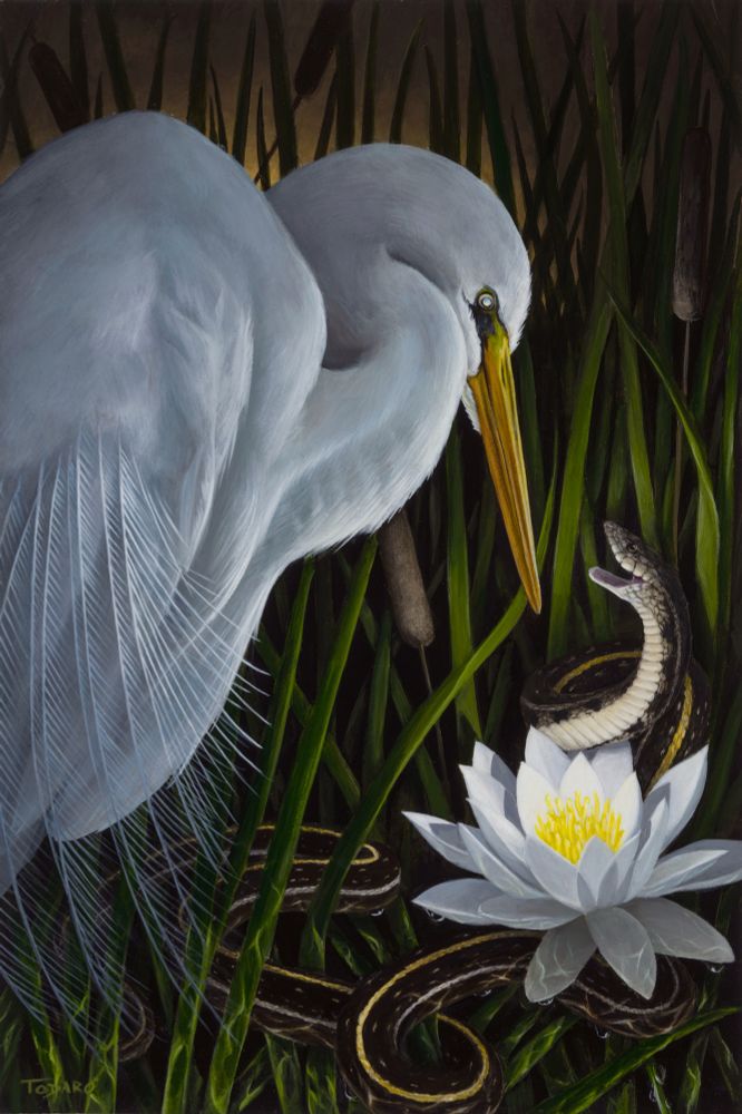 A painting of an egret defending a water lily from a garter snake. The sun is setting and light is moody. The animal’s are hidden deep within a bunch of reeds. 