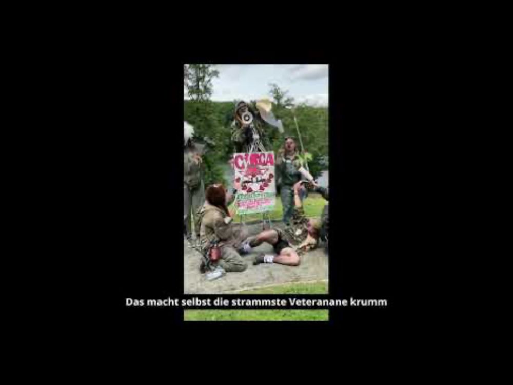 Kressepomferenz der Clownsarmee am Schlachtensee (Direktors Butt)