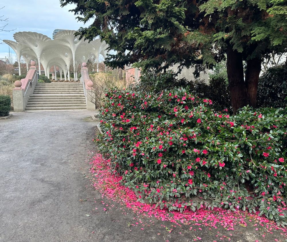 Winter in western Washington. 