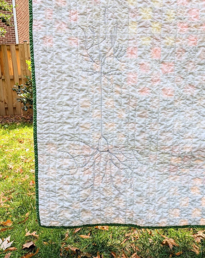 Back, bottom left corner of a quilt. Back is white-ish with a navy blue pyramidal neuron quilted into it.