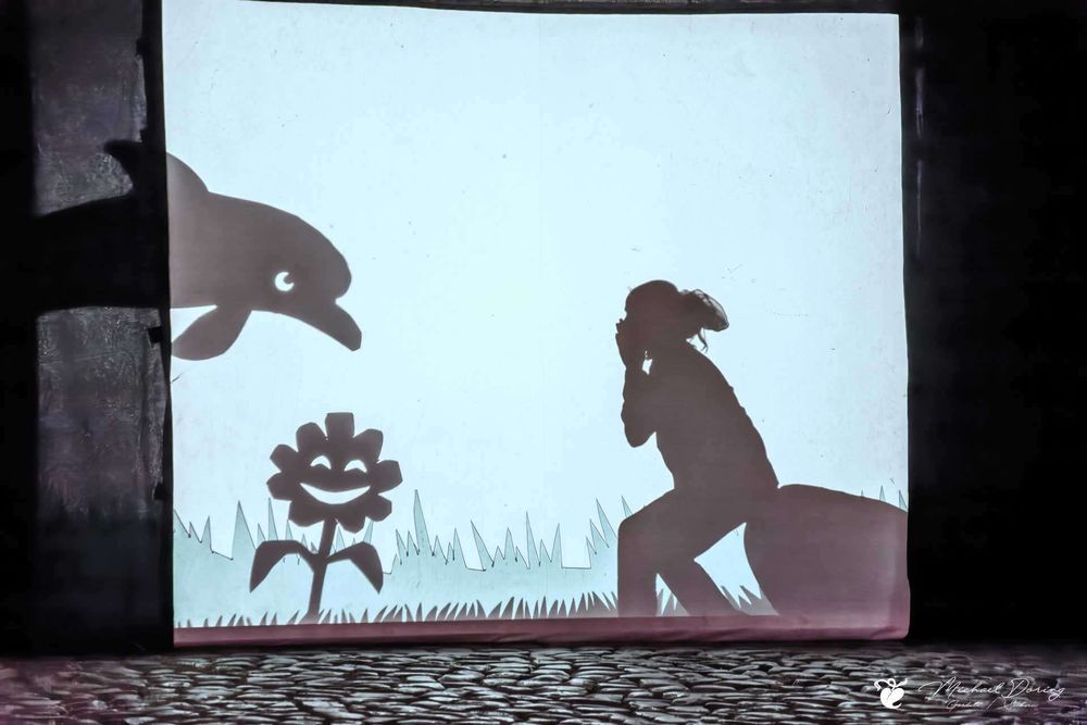 inklusive Theatervorstellung beim ViaThea in Görlitz. Schattenspiel, Mädchen sitzt auf einen Stein auf einer Wiese und ist erstaunt über einen Delphin.
https://linktr.ee/freiraumdschungel