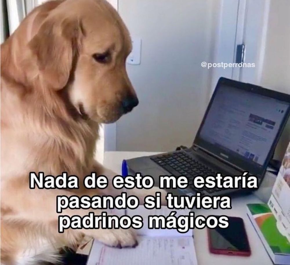 a pensive dog is in front of a laptop. 
at the bottom it reads: "Nada de esto me estaría pasando si tuviera padrinos mágicos" (None of this would be happening if I had fairly oddparents)