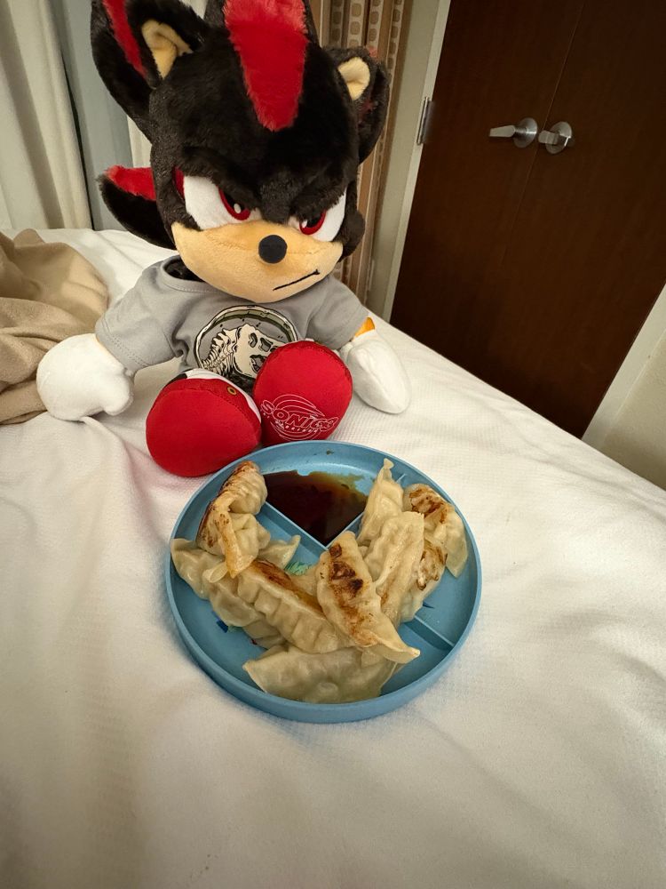 a small dinosaur plate filled with potstickers. 🥟 Shadow looks on in mild contempt while dressed in a jurrassic tshirt