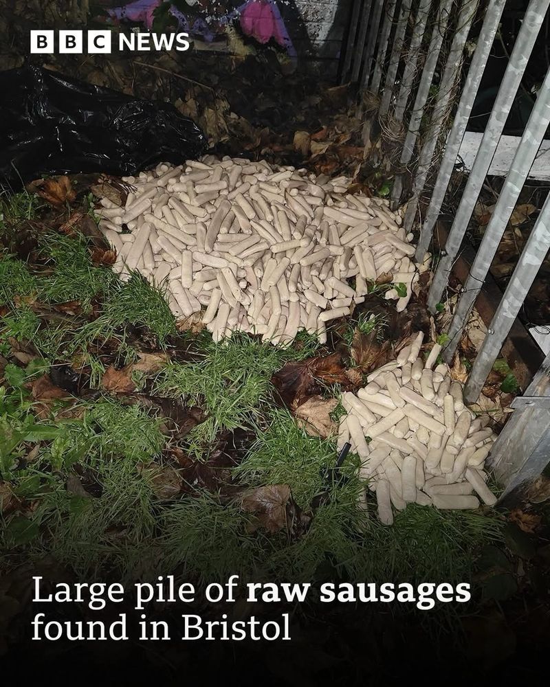 Large pile of raw sausages found in Bristol