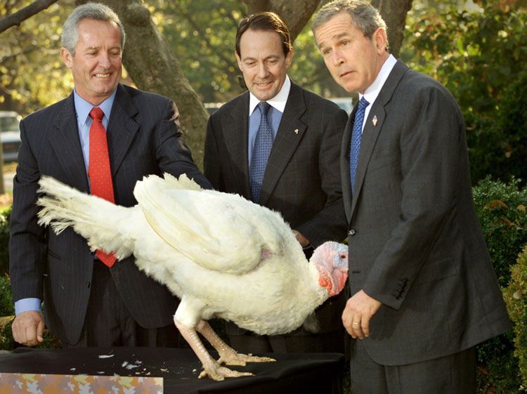 George W Bush getting a gobble off a turkey.