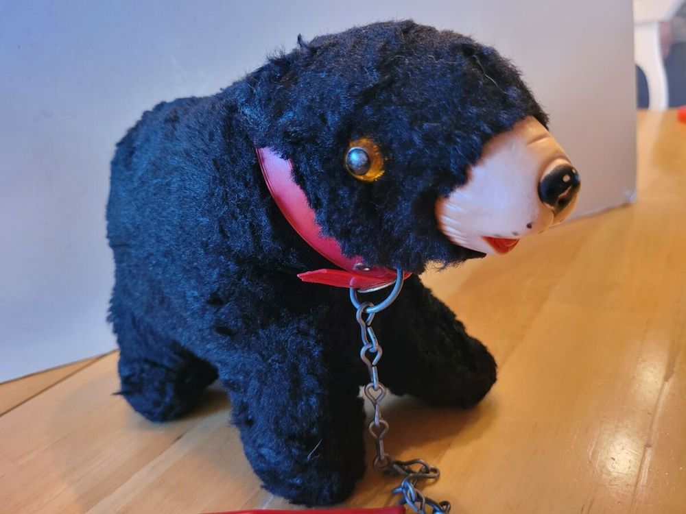 the bear in question