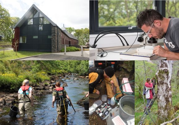 Image showing SCENE fieldstation and students doing field and lab work.
