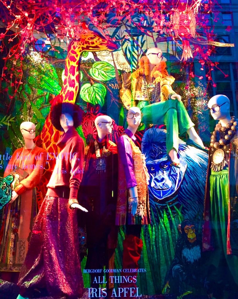For the Alphabet Challenge theme Multicolour, a colour photograph of a window at Bergdorf Goodman on 5th Avenue New York City in 2018, featuring the bright and colourful clothes of famous designer Iris Apfel. Six mannequins in a multicoloured jungle scene with a stuffed giraffe, gorilla and monkey, are dressed in colourful couture, an “All Things Iris Apfel” sign appears at the bottom of the window. 