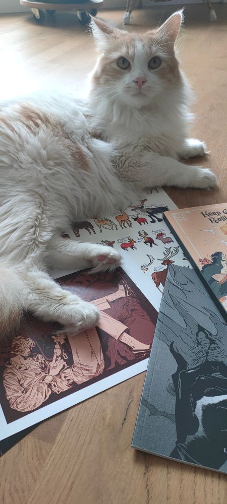 Cat sitting on prints and books