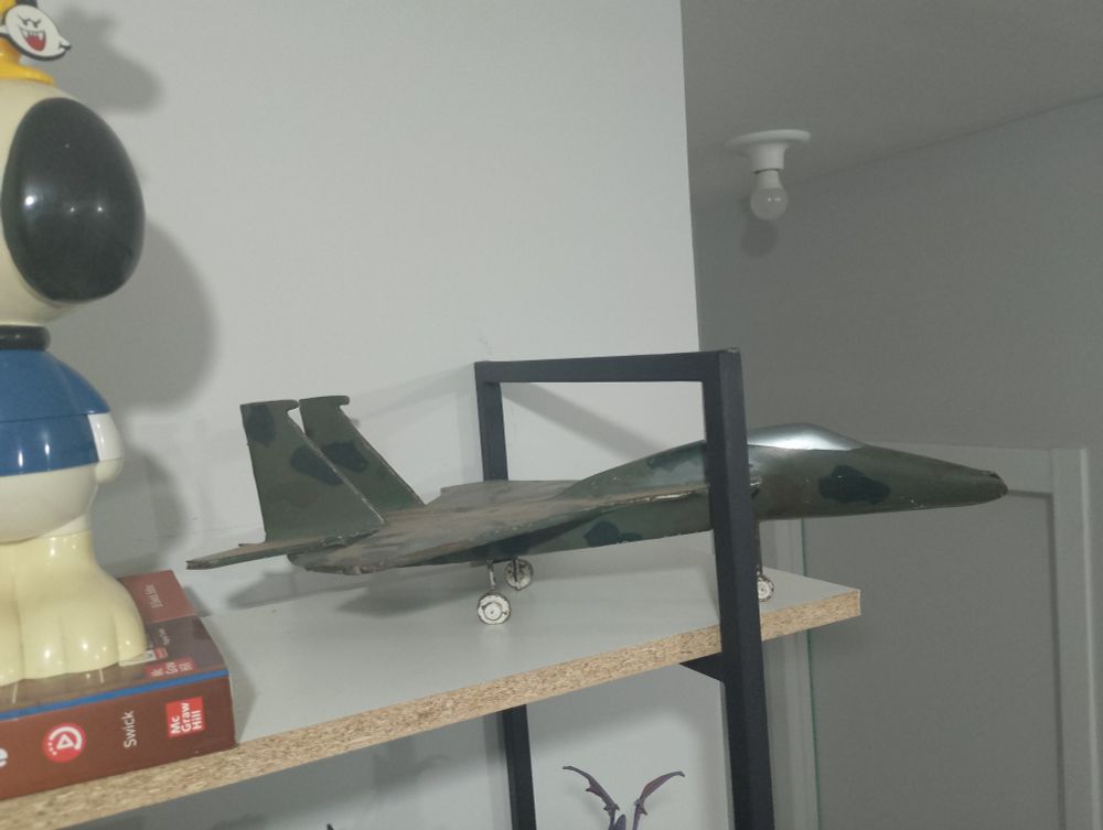 Vista "aérea" de outro caça em escala desconhecida. Ele mede em torno de 45 cm do nariz à cauda. Suas asas estão um pouco empoeiradas. 