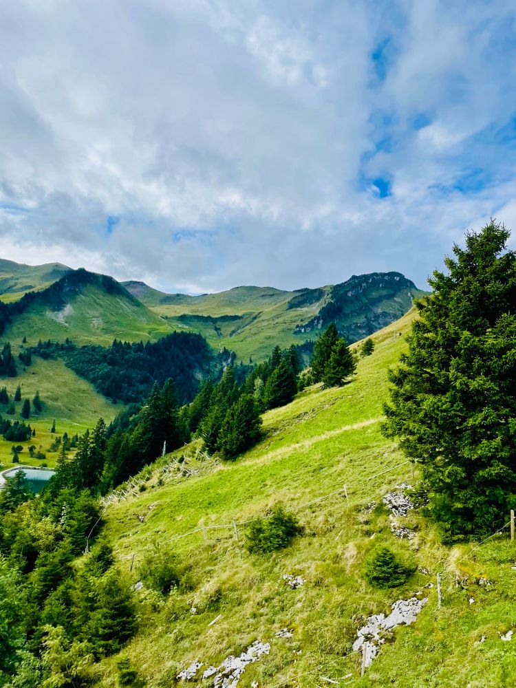 Alpine peaks from a height