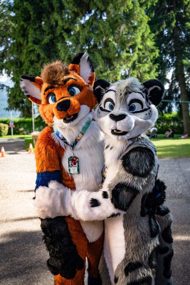 Fox and snow leopard fursuiters 
