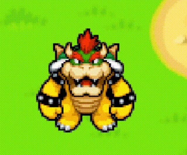 bowser is a cartoon character from the video game mario bros .