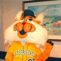 A photo of the real Slider costume... The one I wore did not look like that. 