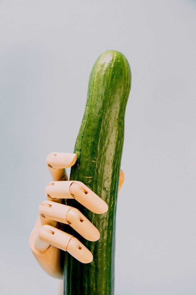 The image presents a striking visual contrast between a lifelike wooden mannequin hand and a fresh, vibrant cucumber. The hand, with its segmented joints and smooth, pale wood, delicately clasps the cucumber, emphasizing the natural curve and glossy green texture of the vegetable. The cucumber's vibrant green shades, with lighter vertical stripes and a slightly bumpy surface, stand out against the soft, neutral background.

This pairing highlights the juxtaposition of the artificial and the natural: the mechanical, crafted hand versus the living, organic produce. Symbolically, this could reflect themes of human interaction with nature, or the way we grasp and manipulate the natural world around us. The simplicity and minimalism of the image invite viewers to consider the relationship between human creativity and the raw forms of nature, as well as themes of nourishment, growth, and control.

