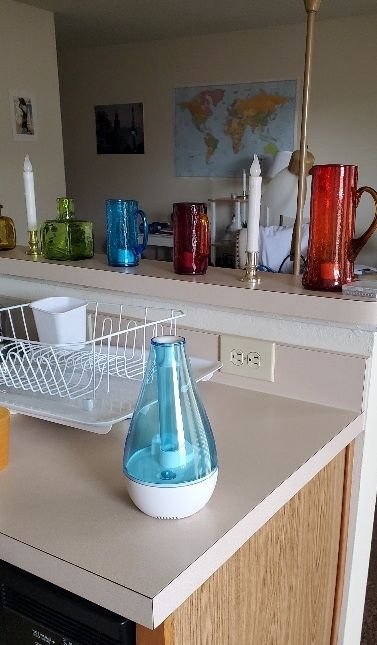Blue and white cool mist humidifier setting on kitchen counter.
