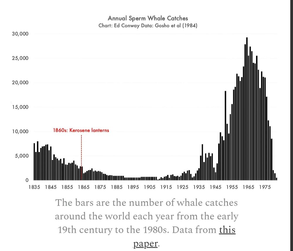 Chart showing annual sperm whale catches from 1835 to 1975. A line marks when kerosene was introduced in the 1860s. Whale catches were low but surged in 1930s, peaked around 1965. They declined quickly after that.