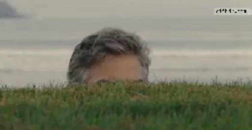 a man peeking out from behind a lush green field ..