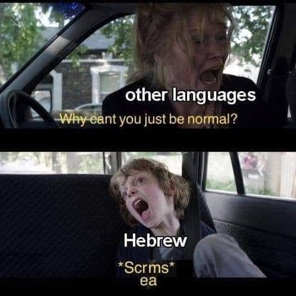 Meme of a woman, tagged as "other languages", screaming "Why can't you just be normal?" A kid in the back seat, tagged "Hebrew" is yelling "Scrms", with the vowels beneath the word, because Hebrew vowels are absurd.