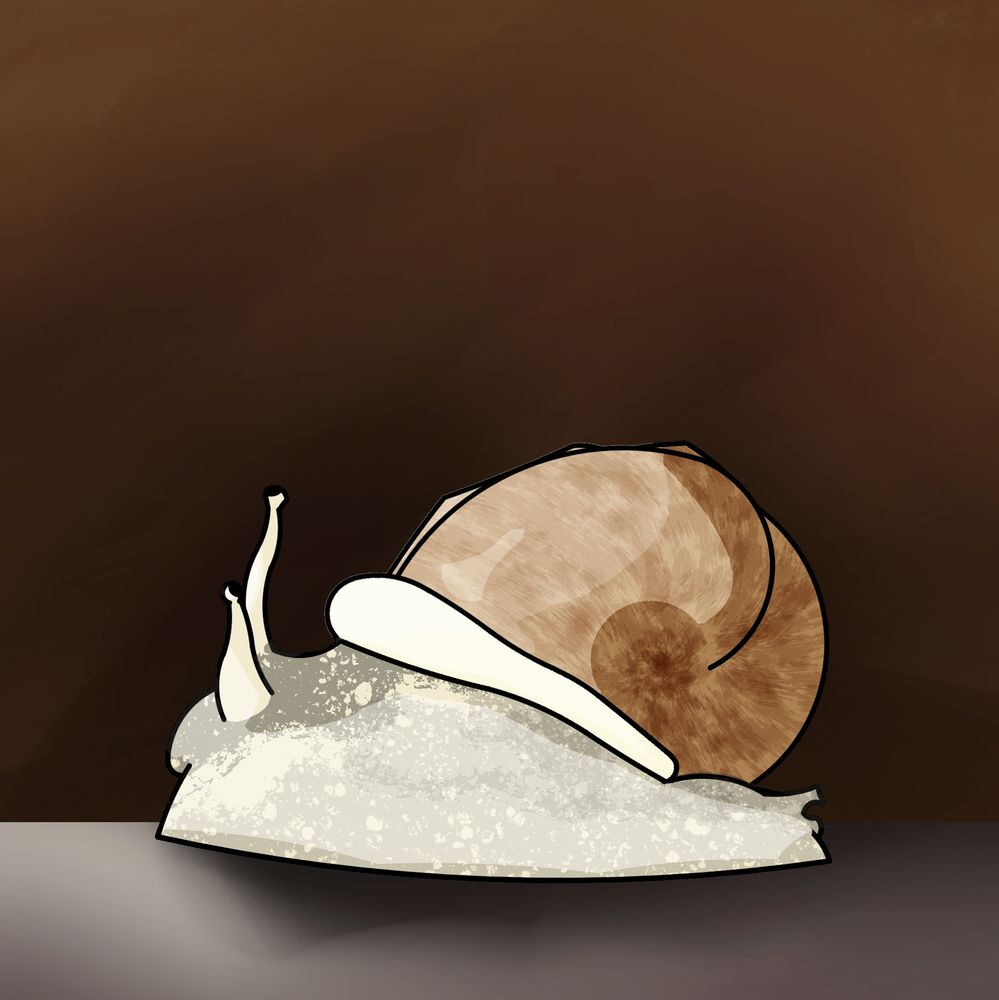 Digital painting of a snail. The snail is white with a light brown shell. It is on a grey floor with a brown background. The coloring is done with texture much more detailed than would typically be seen with the simple linework.