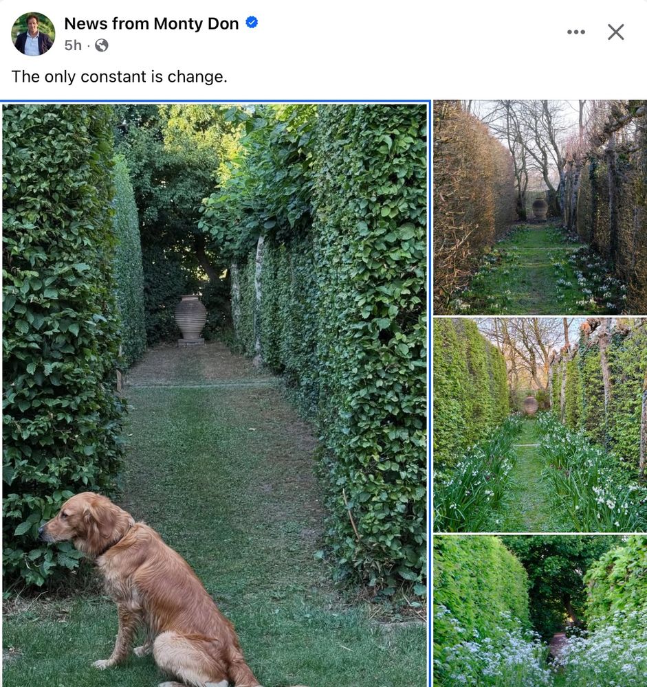 Screencap from a Facebook post by UK-based master gardener Monty Don showing a hedgerow from his garden at various different stages of growth throughout the year. 