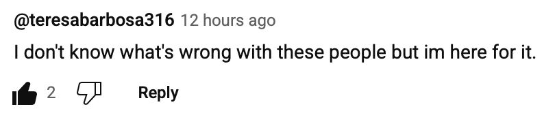 Screenshot of a YouTube comment reading "I don't know what's wrong with these people but I'm here for it"