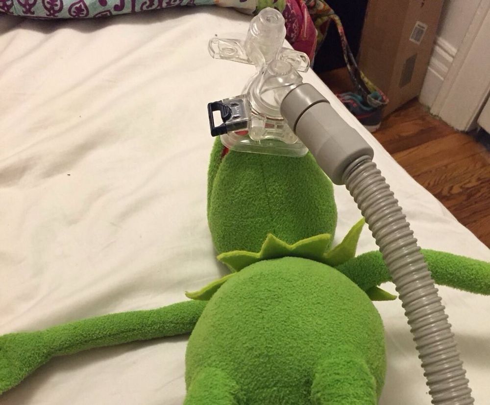 Kermit the Frog on oxygen.