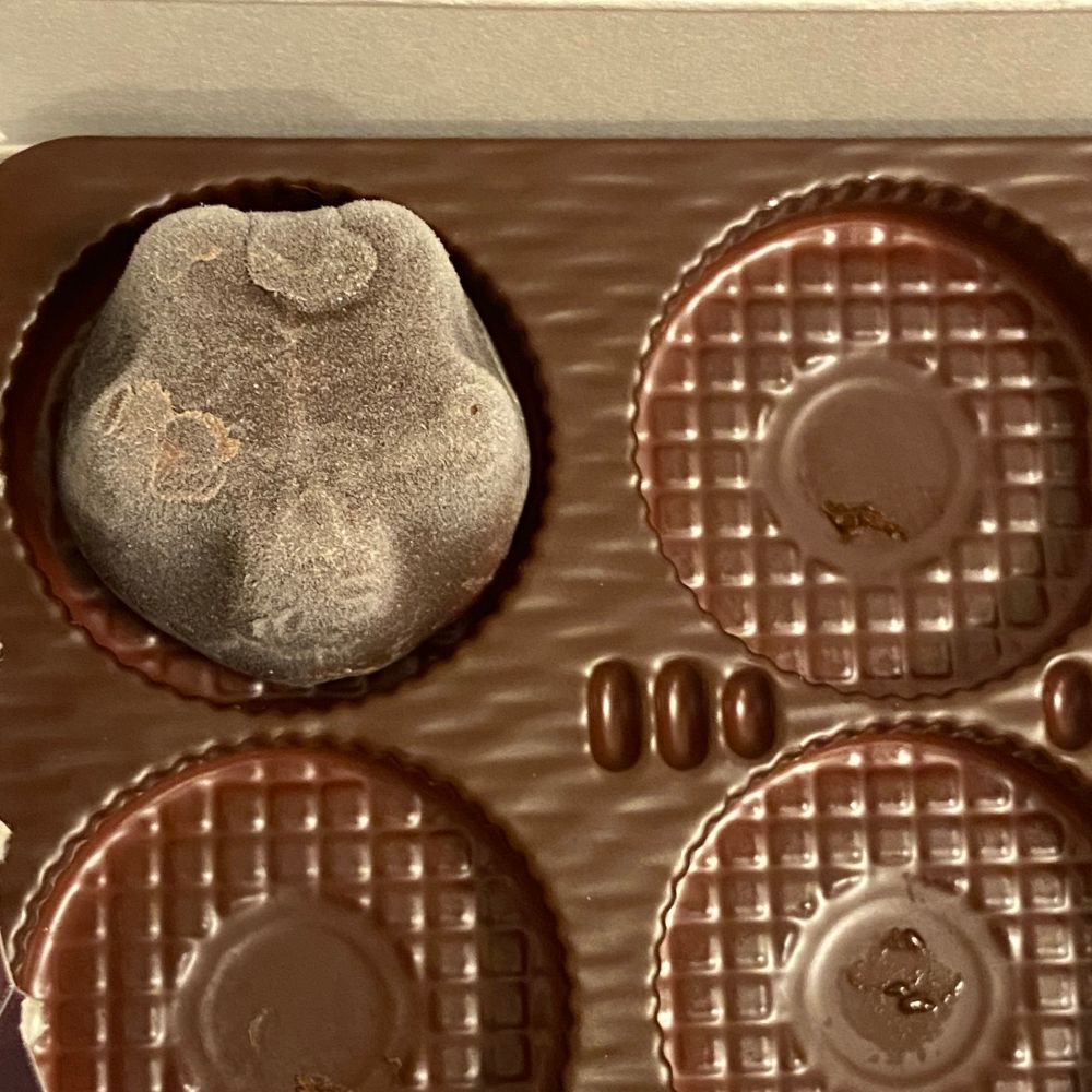 星型のピノアイスが最後のひとつ、箱の中に残っている。