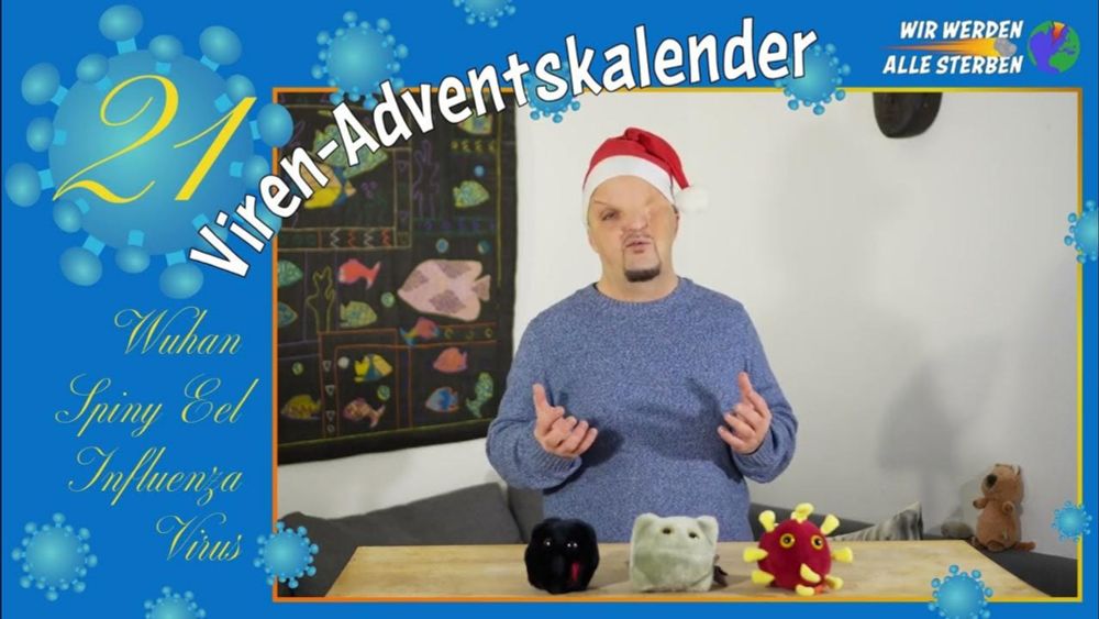 Auch Aale kriegen Atemwegsinfekte - Adventskalender 21