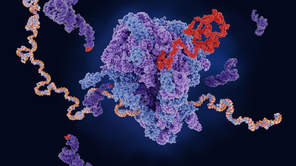 Corona-Impfungen: Was die unerwünschten Proteine bei den mRNA-Impfstoffen bedeuten