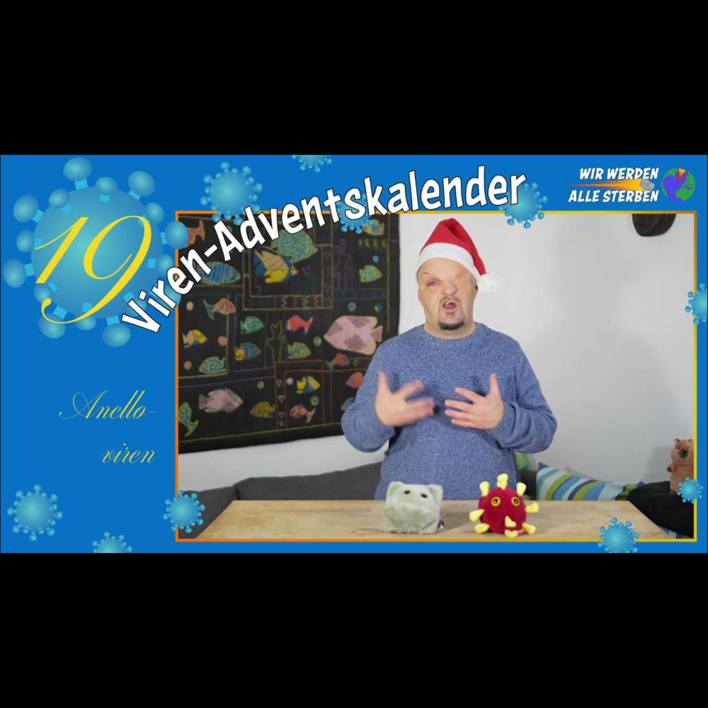 Das Rätsel der Anelloviren - Adventskalender 19