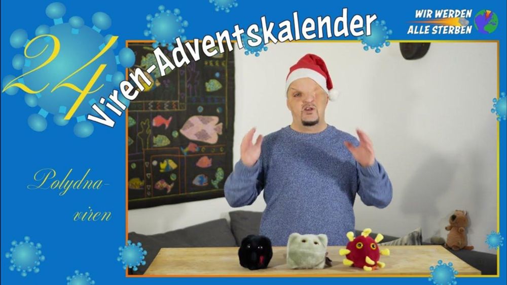 Symbiose mit Viren - Adventskalender 24