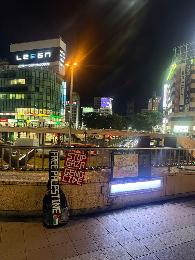 Two placards stands in the evening town, saying "Free Palestine" and "Stop Gaza Genocide".