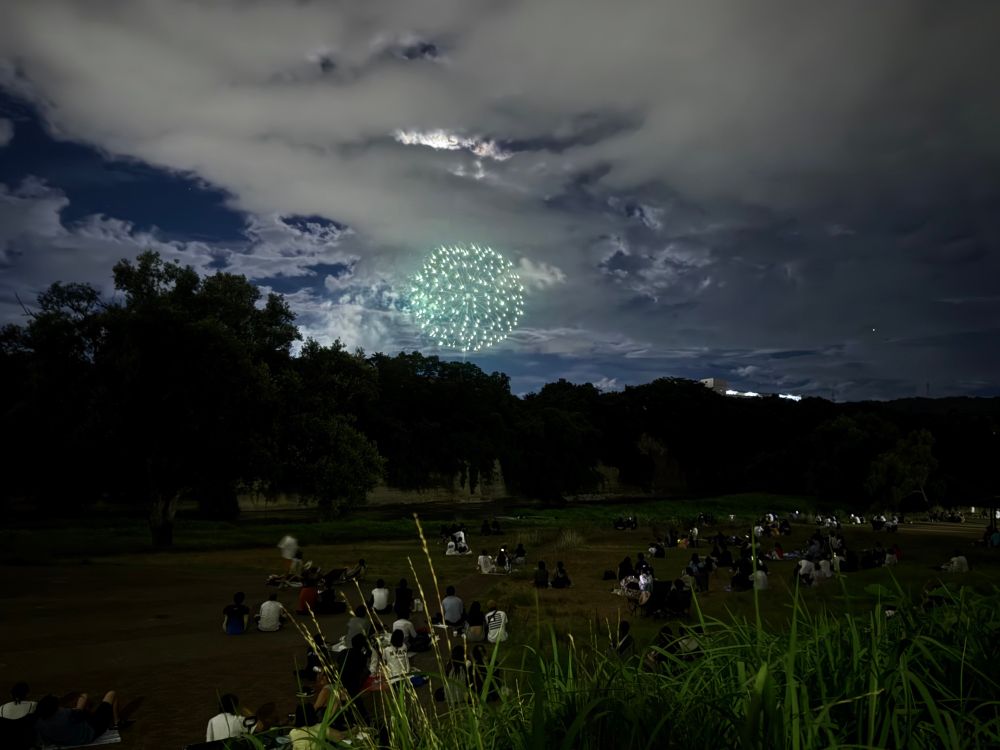 夜空に、緑色の花火。人びとは川べりに座ってそれを見上げている。