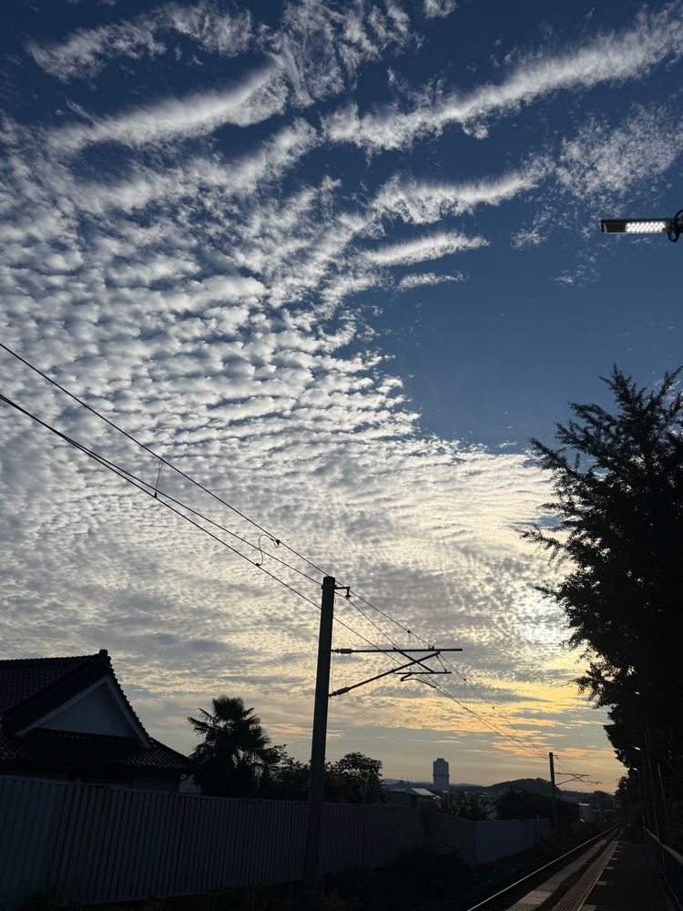 朝焼けの雲。