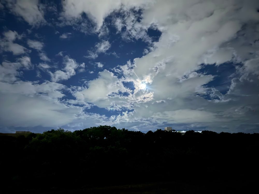 広い夜空に月のあかり