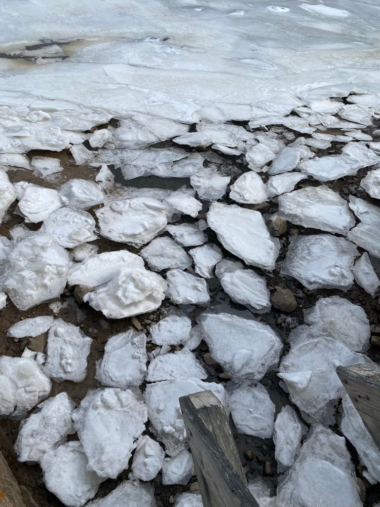Looking down from the bridge the ice flows to sea. How polite the chunks are. All with a little water filled space between them
