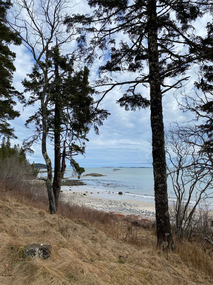 The atlantic ocean shoreline