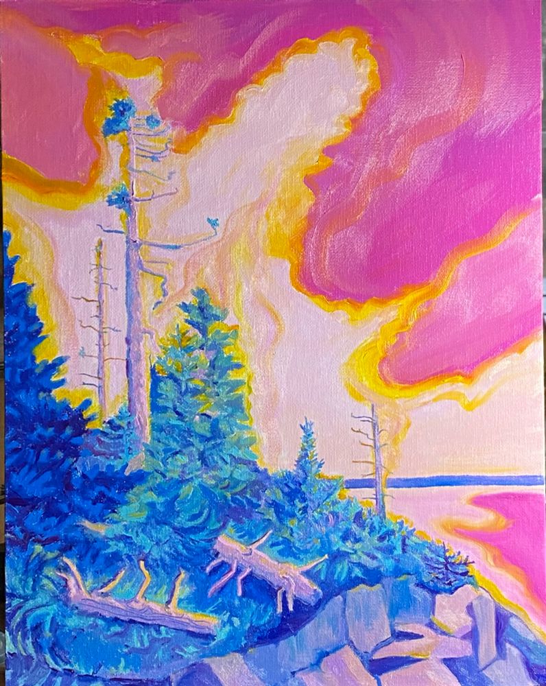 MAGENTA sky of bright pink and orange and yellow w teal blue spruce on the rocky bold coast of Maine