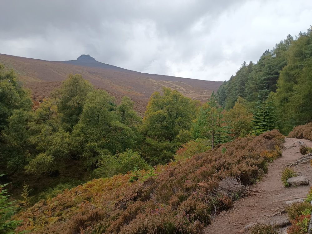 A view up towards a hill