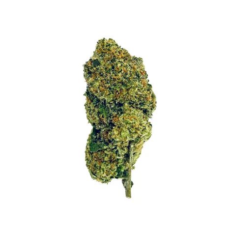 Green D2OSIS THCA Flower: a balanced hybrid offering an uplifting cerebral rush and smooth body high with fruity, pine, spicy notes for creative boost.