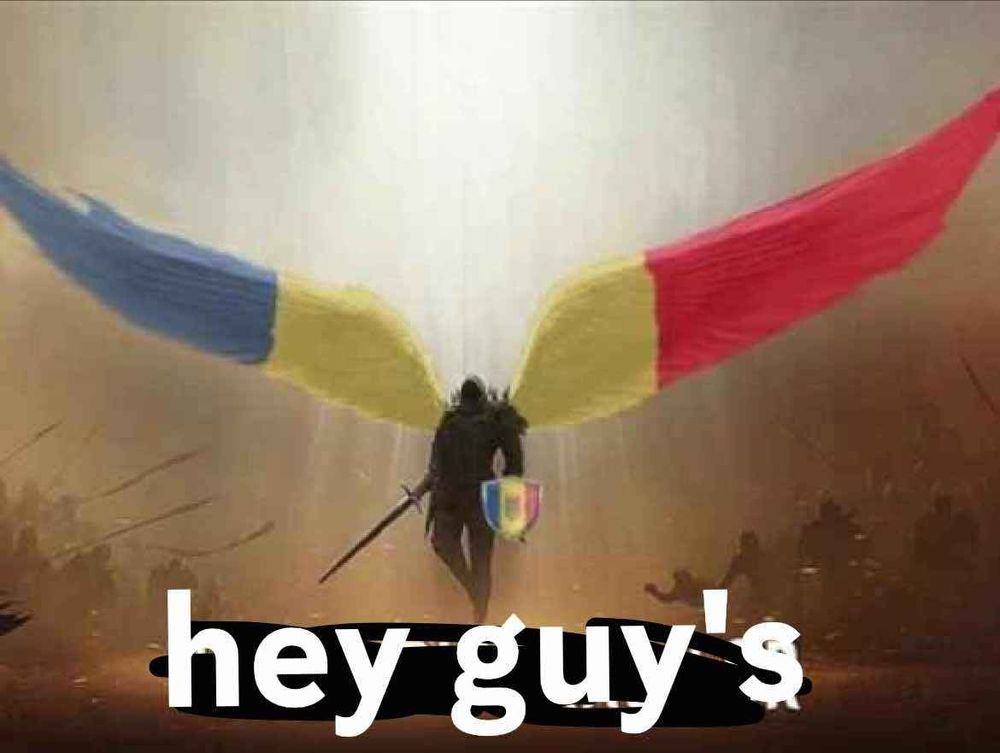 Hey Guy's (a knight with moldavian flag shield and wings)